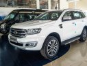 Ford Everest 2.0L Single_Turbo Ambiente MT 2019 - Bán Ford Everest 2019, tặng phụ kiện, hỗ trợ vay 80%, LH 0981.183.915