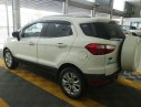 Ford EcoSport Titanium 2014 - Bán Ford Ecosport Titanium đời 2014, màu trắng