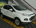 Ford EcoSport Titanium 2014 - Bán Ford Ecosport Titanium đời 2014, màu trắng