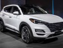 Hyundai Tucson 2019 - Bán Hyundai Tucson đời 2019, màu trắng, nhập khẩu. Xe giao ngay