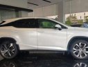 Lexus RX 300 2019 - Bán xe Lexus RX 300 đời 2019, màu trắng, xe nhập