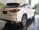 Lexus RX 300 2019 - Bán xe Lexus RX 300 đời 2019, màu trắng, xe nhập