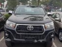 Toyota Hilux     2019 - Bán Toyota Hilux đời 2019, nhập khẩu, mới 100%