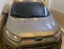 Ford EcoSport 2015 - Bán Ford EcoSport đời 2015, màu bạc, xe gia đình 