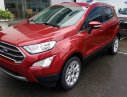 Ford EcoSport   1.5L AT titnium  2019 - Bán xe Ford EcoSport 1.5L AT titnium đời 2019, màu đỏ