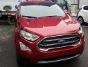 Ford EcoSport   1.5L AT titnium  2019 - Bán xe Ford EcoSport 1.5L AT titnium đời 2019, màu đỏ