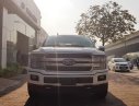 Ford F 150 Platinum 2018 - Bán Ford F150 Platinum 2018 mới 100%, giao ngay