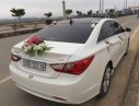 Hyundai Sonata 2010 - Bán xe Hyundai Sonata 2010, màu trắng, xe nhập số tự động, giá 500tr