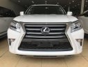 Lexus GX 460 2017 - Bán Lexus GX460 màu trắng, sản xuất năm 2017 đăng ký cá nhân