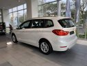 BMW 2 Series 218i Gran Tourer 2019 - Bán xe BMW 2 Series 218i Gran Tourer năm 2019, màu trắng, nhập khẩu nguyên chiếc