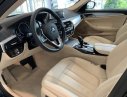 BMW 5 Series 520i 2018 - Cần bán xe BMW 5 Series 520i đời 2018, nhập khẩu