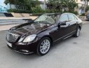 Mercedes-Benz E class E300 2009 - Xe Mercedes E300 đời 2010, màu nâu