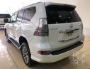 Lexus GX GX460 2017 - Bán Lexus GX460 màu trắng, sản xuất và đăng ký 2017. LH: 0906223838