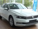 Volkswagen Passat Passat Bluemotion 2018 - Cần bán xe Volkswagen Passat Passat Bluemotion 2018, nhập khẩu nguyên chiếc