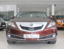 Acura ZDX   ZDX SH-AWD  2009 - Bán xe Acura ZDX SH-AWD sx 2009 đời 2010, màu nâu, xe nhập