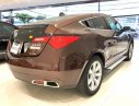 Acura ZDX   ZDX SH-AWD  2009 - Bán xe Acura ZDX SH-AWD sx 2009 đời 2010, màu nâu, xe nhập