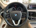 BMW 5 Series 520i 2018 - Cần bán xe BMW 5 Series 520i đời 2018, nhập khẩu