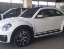 Volkswagen New Beetle Dune 2018 - Bán ô tô Volkswagen New Beetle Dune sản xuất năm 2018, màu trắng, xe nhập