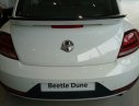 Volkswagen New Beetle Dune 2018 - Bán ô tô Volkswagen New Beetle Dune sản xuất năm 2018, màu trắng, xe nhập