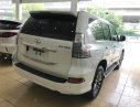 Lexus GX 460 2017 - Bán Lexus GX460 màu trắng, sản xuất năm 2017 đăng ký cá nhân