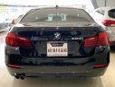 BMW 5 Series 520i 2014 - HCM: BMW 520i, màu đen, sản xuất 2014