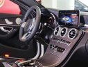 Mercedes-Benz C class C300 AM 2019 - [Đón xuân 2020] Mercedes C300 AMG 2019, màu đỏ, khuyến mãi hấp dẫn, vay trả góp 80%, LS 0.77%/tháng cố định 36 tháng