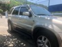 Ford Escape XLT 2008 - Bán Ford Escape XLT năm sản xuất 2008, màu bạc, giá chỉ 320 triệu