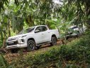 Mitsubishi Triton 2019 - Bán xe Mitsubishi Triton đời 2019, màu trắng, nhập khẩu