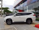 Mitsubishi Pajero    2019 - Bán Mitsubishi Pajero năm sản xuất 2019, màu trắng, nhập khẩu, giá chỉ 890.5 triệu