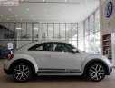 Volkswagen Beetle Dune 2018 - Bán Volkswagen Beetle Dune 2.0 TSI bản Final 2019 - Thiết kế thiên hướng thể thao, lai Crossover cá tính