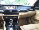 BMW 5 Series 520i 2013 - Bmw 520i model 2014 tên tư nhân, cực giữ gìn, gần như mới