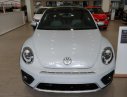 Volkswagen Beetle Dune 2018 - Bán Volkswagen Beetle Dune 2.0 TSI bản Final 2019 - Thiết kế thiên hướng thể thao, lai Crossover cá tính