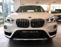 BMW X1 2019 - Bán BMW X1 sản xuất 2019, màu trắng, nhập khẩu