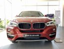 BMW X6 2019 - Bán BMW X6 sản xuất 2019, màu đỏ, nhập khẩu. Giá cực tốt