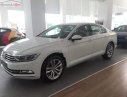 Volkswagen Passat 1.8 Bluemotion 2018 - Bán Volkswagen Passat 1.8 Bluemotion 2018, màu trắng, nhập khẩu