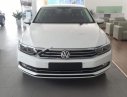 Volkswagen Passat 1.8 Bluemotion 2018 - Bán Volkswagen Passat 1.8 Bluemotion 2018, màu trắng, nhập khẩu