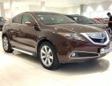 Acura ZDX 2009 - HCM: Acura ZDX SH-AWD 2009, màu nâu, xe nhập