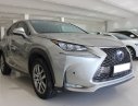 Lexus NX 200T 2015 - HCM: Lexus NX 200T 2015 - Xe nhập, trả trước chỉ từ 630 triệu