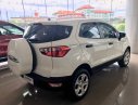 Ford EcoSport 2019 - Ford EcoSport sản xuất 2019, màu trắng, bán trả góp
