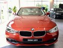 BMW 3 Series 320i 2019 - Bán BMW 3 Series 320i sản xuất 2019, màu đỏ, nhập khẩu nguyên chiếc