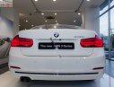 BMW 3 Series 330i 2019 - Bán ô tô BMW 3 Series 330i 2019, màu trắng, nhập khẩu  