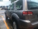 Ford Escape XLS 2010 - Bán Ford Escape XLS sản xuất 2010, màu xám (ghi), 375 triệu