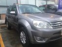 Ford Escape XLS 2010 - Bán Ford Escape XLS sản xuất 2010, màu xám (ghi), 375 triệu