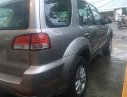 Ford Escape XLS 2010 - Bán Ford Escape XLS sản xuất 2010, màu xám (ghi), 375 triệu