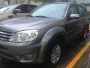 Ford Escape XLS 2010 - Bán Ford Escape XLS sản xuất 2010, màu xám (ghi), 375 triệu