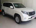 Toyota Land Cruiser TX.L 2017 - Bán Toyota Land Cruiser TX. L đời 2017, màu trắng, nhập khẩu nguyên chiếc