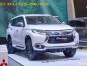 Mitsubishi Pajero Sport   2019 - Giá xe Pajero Sport máy dầu, xe nhập, 7l/100km, góp 80%xe, LH Lê Nguyệt: 0911.477.123 - 0988799330