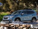 Subaru Forester 2019 - Bán xe Subaru Forester sản xuất năm 2019, xe nhập