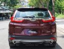 Honda CR V   G  2019 - Cần bán Honda CR V G đời 2019, màu đỏ, nhập khẩu