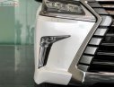 Lexus LX 570 2019 - Bán xe Lexus LX 570 năm sản xuất 2019, màu trắng, nhập khẩu nguyên chiếc